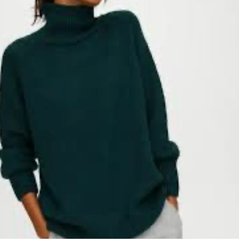 The Group Babaton 100% Alpaca Turtleneck Sweater